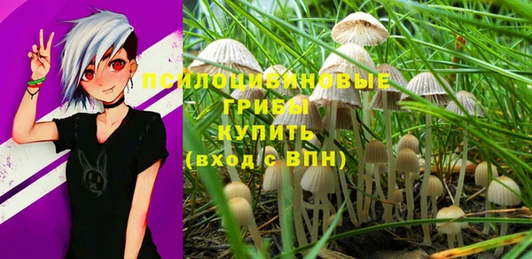 прущая мука Алексин